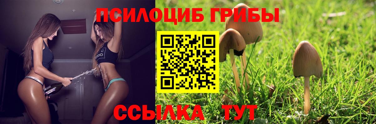 Псилоцибиновые грибы Magic Shrooms Янаул