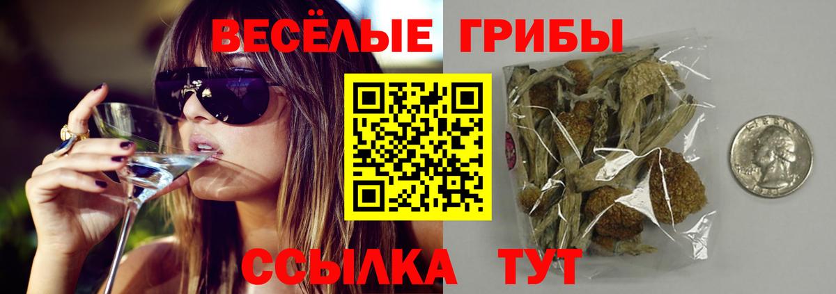 сколько стоит  Галлюциногенные грибы мухоморы  Вход с VPN  Янаул 